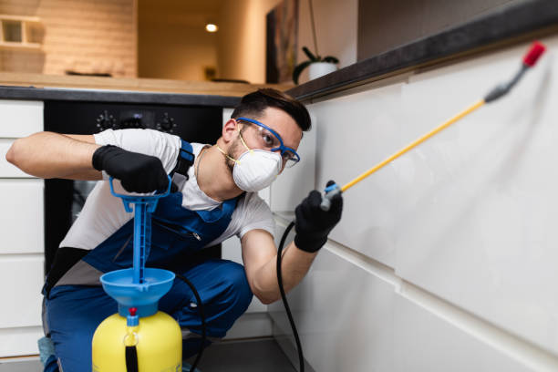 Best Pest Control Near Me in Brandon, SD