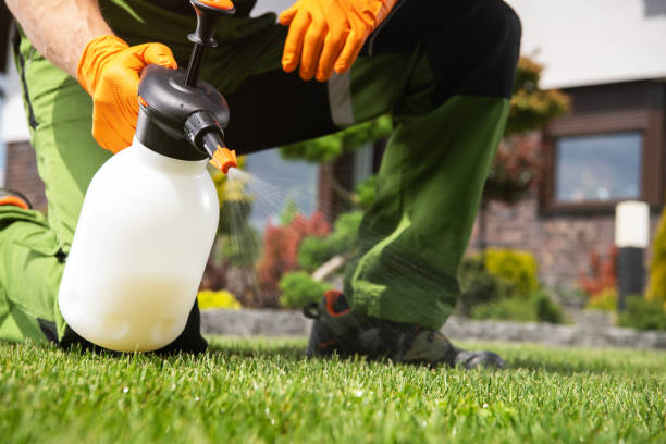 Best Termite Control Services  in Brandon, SD