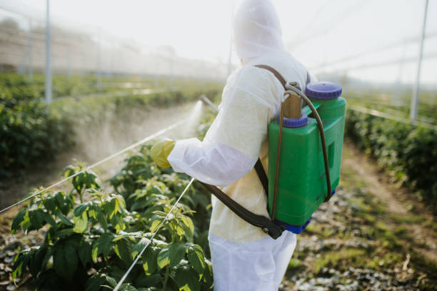 Flea Control Services in Brandon, SD